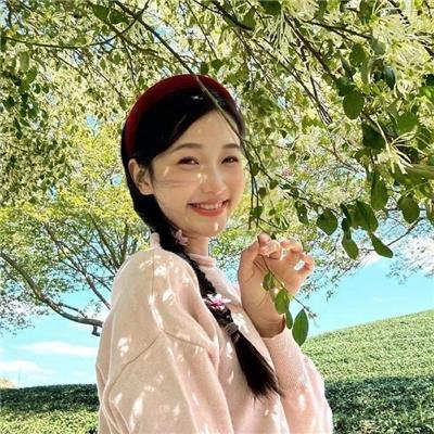 安德鲁克里斯和狮子